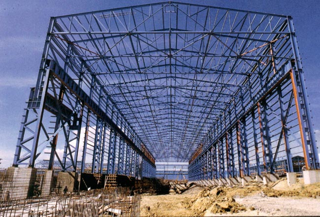 东丽船厂网架工程